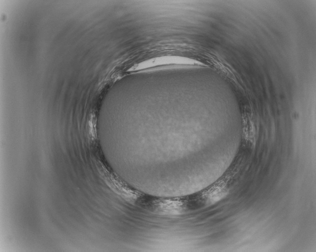 X0000058130718200510171336