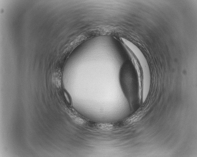 X0000058130719200510171336