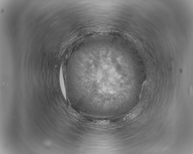 X0000058130720200510171336