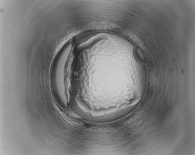 X0000058130722200510171335