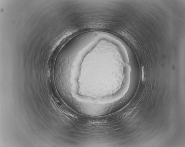 X0000058130723200510171335