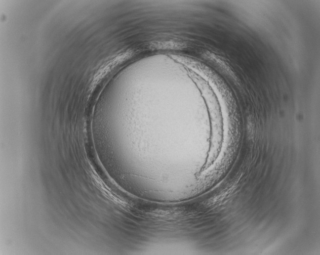 X0000058130725200510171335