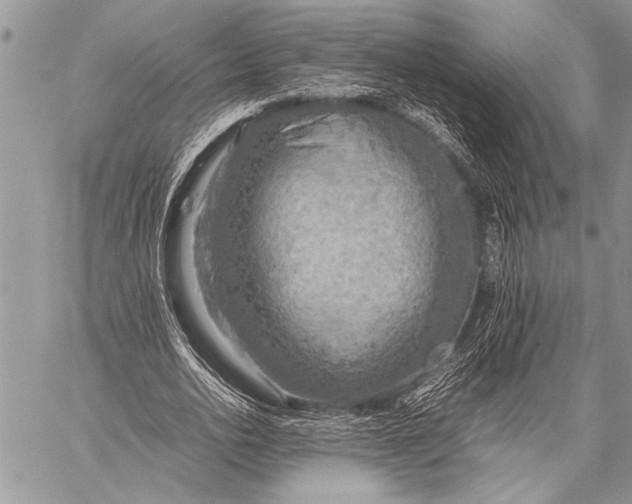 X0000058130726200510171335