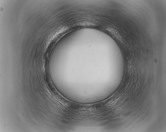 X0000058130727200510171335