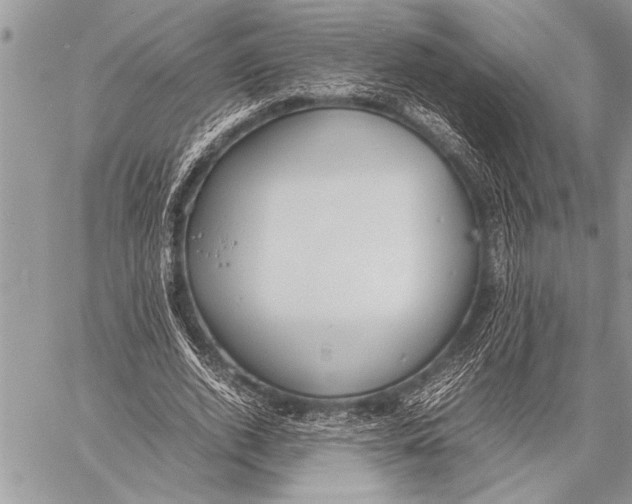 X0000058130728200510171335