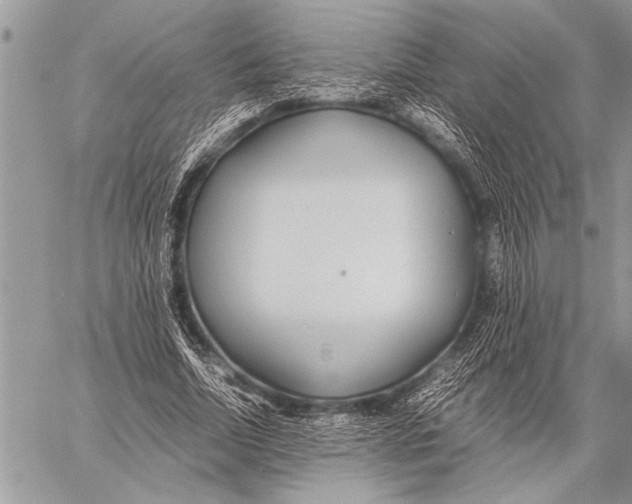 X0000058130730200510171335