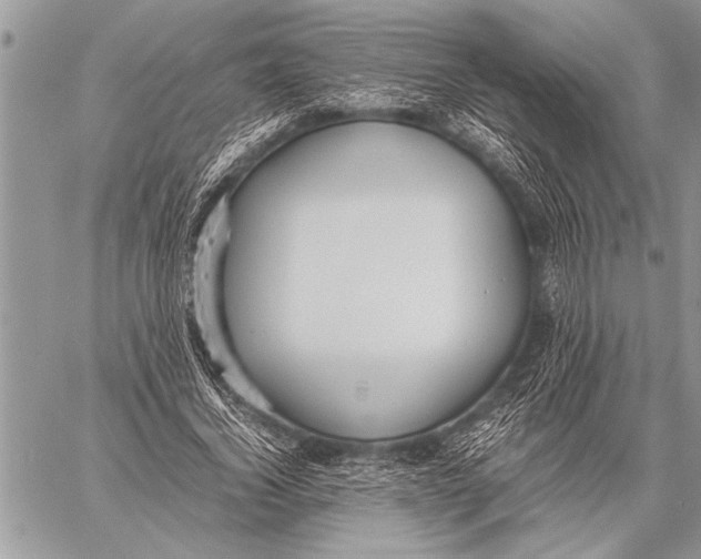 X0000058130732200510171335