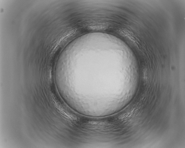 X0000058130733200510171335