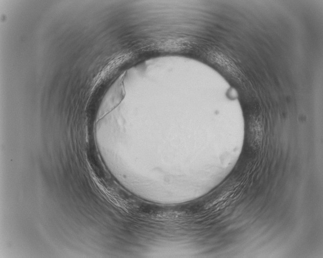 X0000058130734200510171335