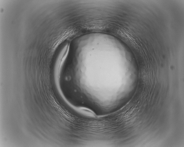 X0000058130735200510171336