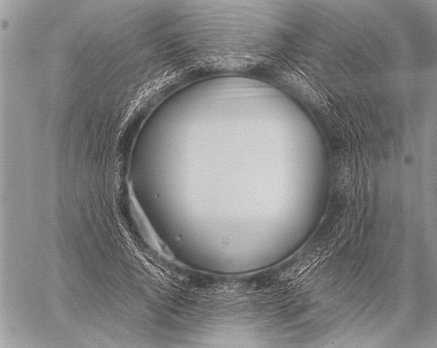 X0000058130736200510171336