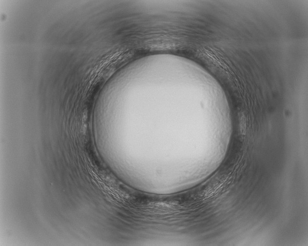 X0000058130737200510171336