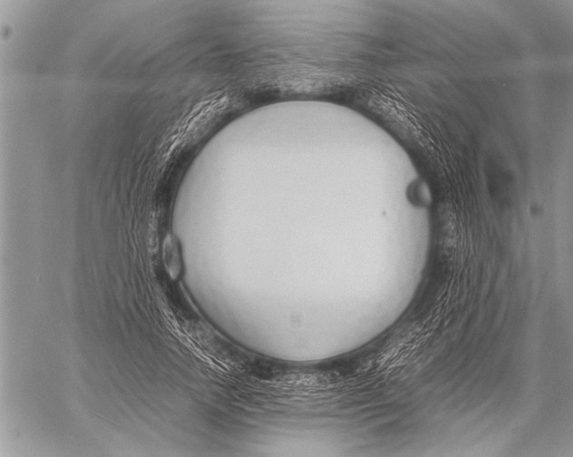 X0000058130738200510171336