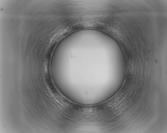 X0000058130740200510171336