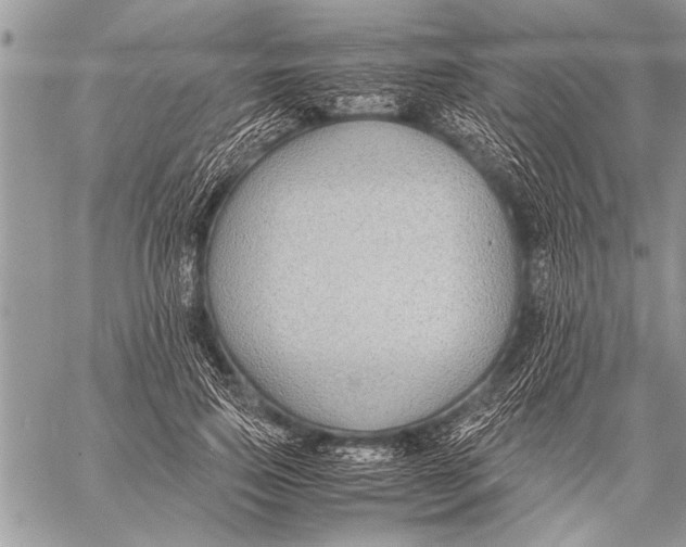 X0000058130741200510171336