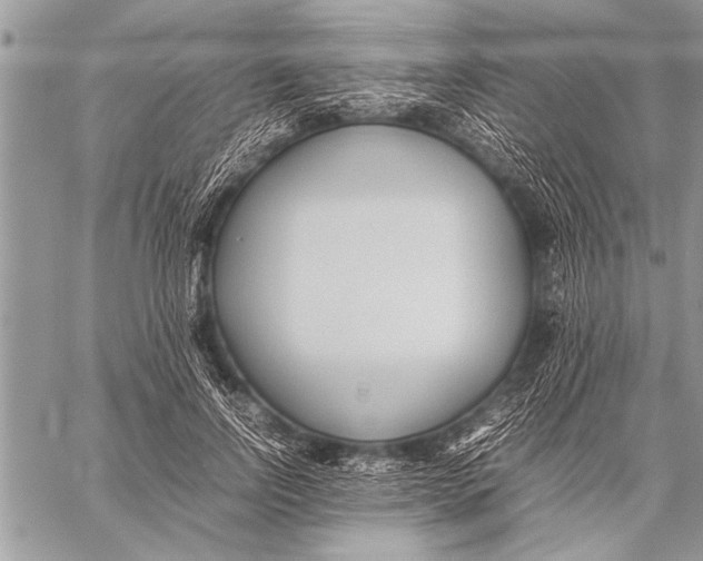 X0000058130742200510171336