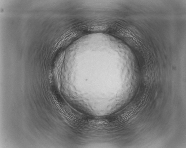 X0000058130743200510171336