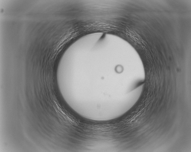 X0000058130744200510171336