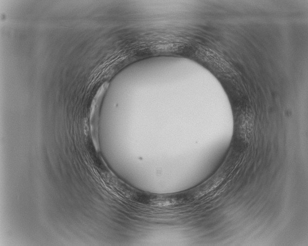 X0000058130746200510171336