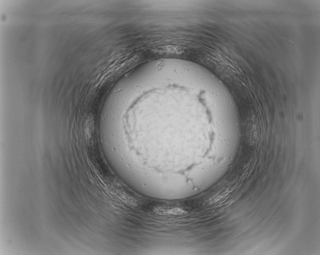 X0000058130747200510171336