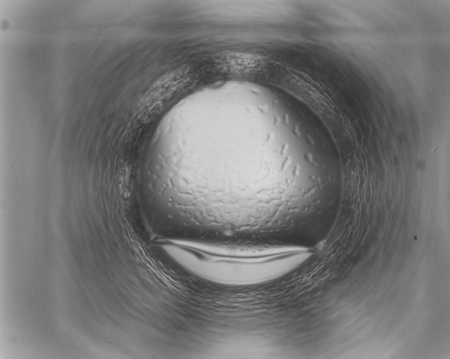 X0000058130750200510171336