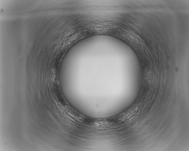 X0000058130752200510171336