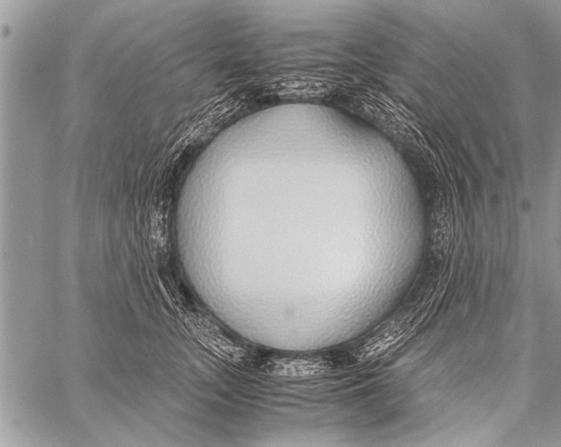 X0000058130755200510171336