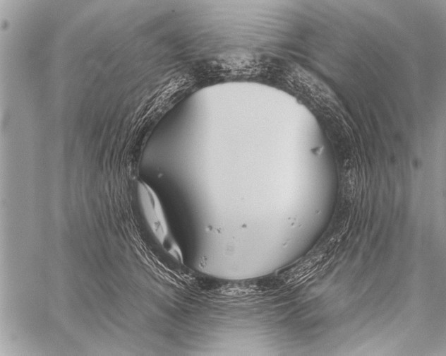 X0000058130756200510171336