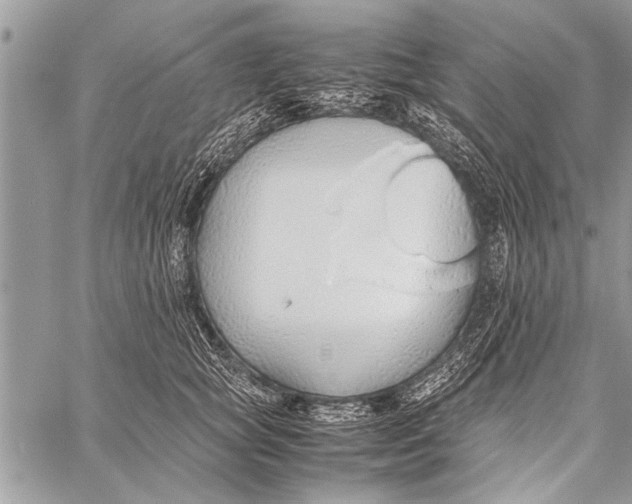 X0000058130757200510171336