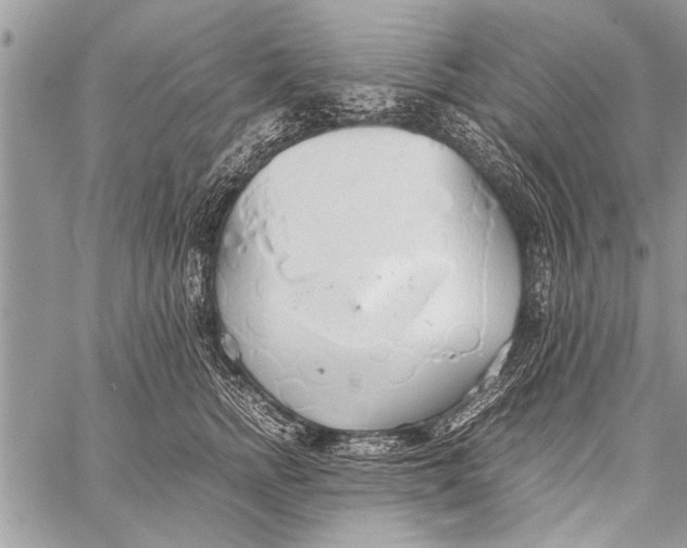 X0000058130758200510171336