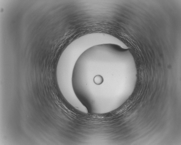 X0000058130760200510171336