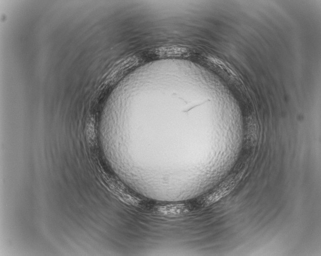 X0000058130761200510171336