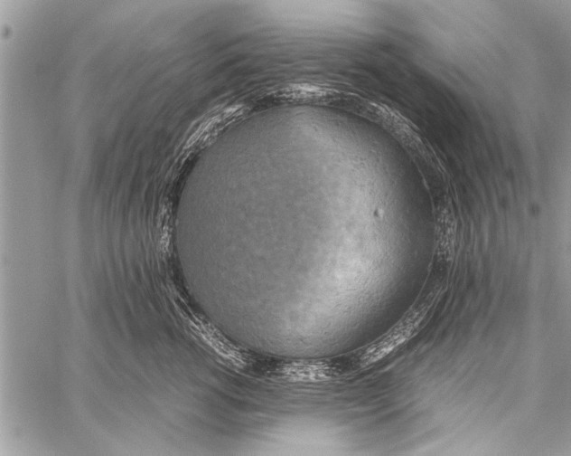 X0000058130762200510171336