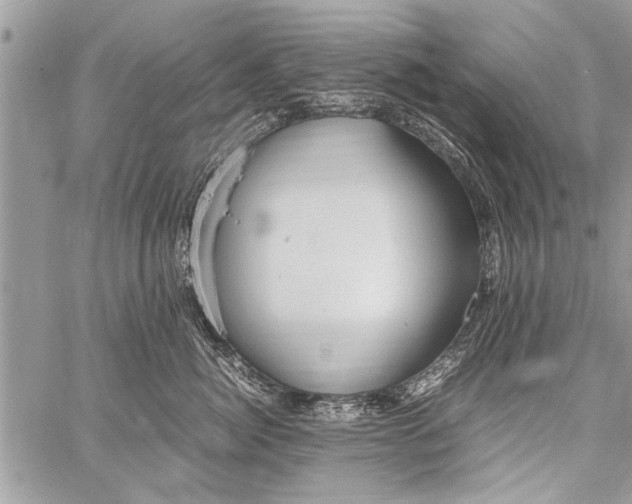 X0000058130764200510171336