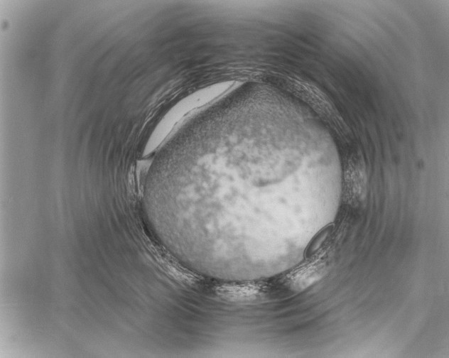 X0000058130765200510171336