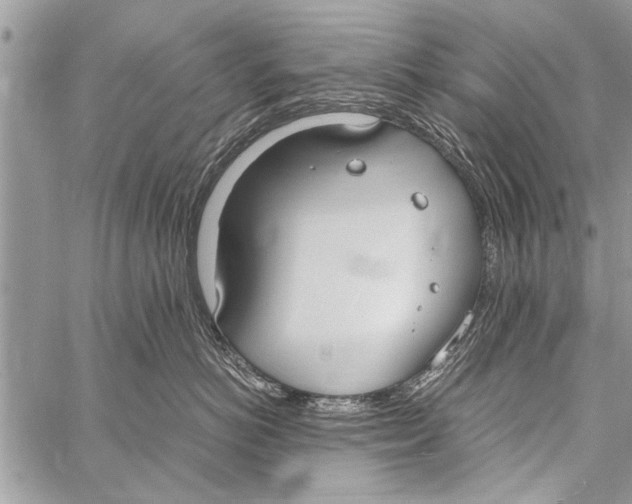 X0000058130766200510171336