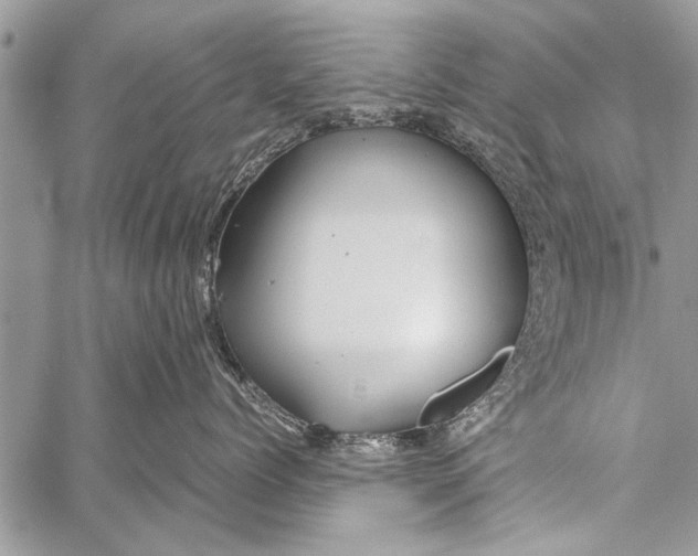 X0000058130768200510171336