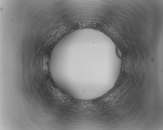 X0000058130770200510171335