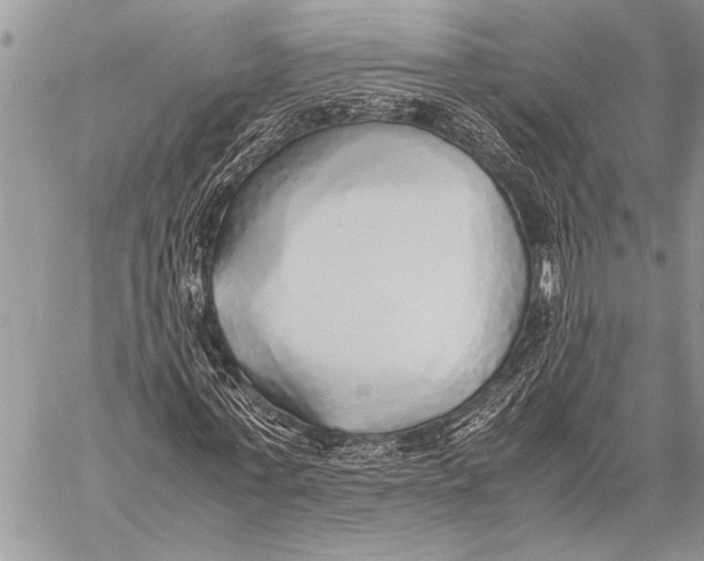 X0000058130771200510171335