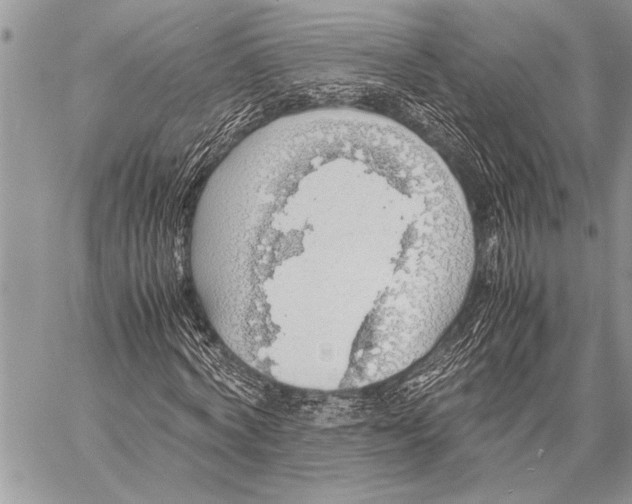 X0000058130772200510171335