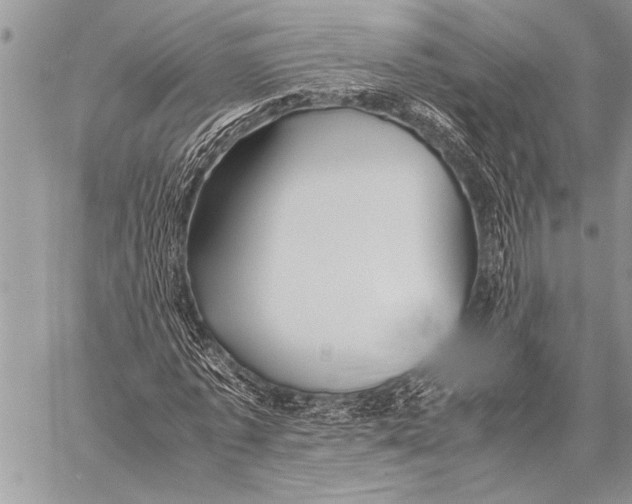 X0000058130773200510171335