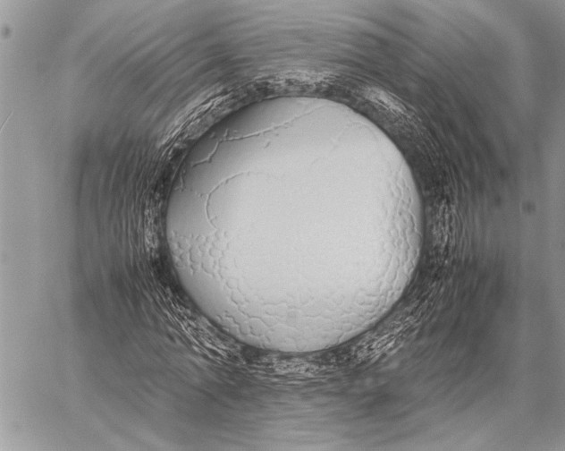 X0000058130774200510171335