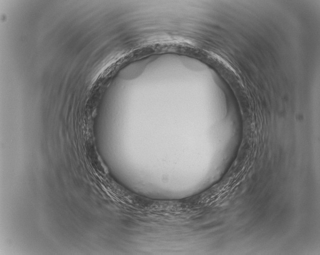 X0000058130775200510171335