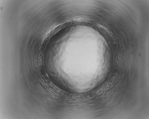 X0000058130776200510171335