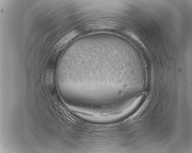 X0000058130777200510171335