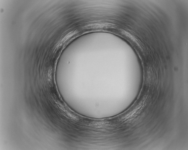 X0000058130778200510171335