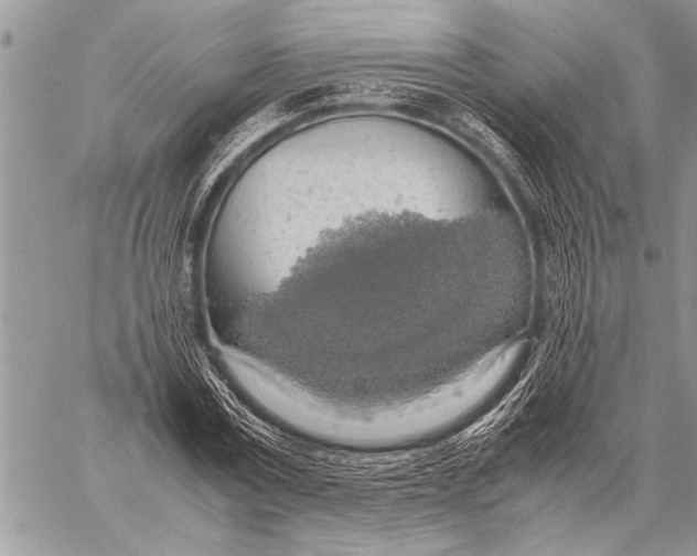 X0000058130779200510171335