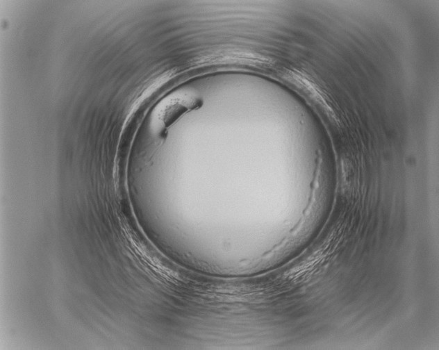 X0000058130780200510171335