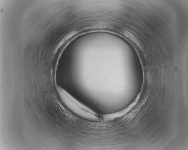 X0000058130781200510171335