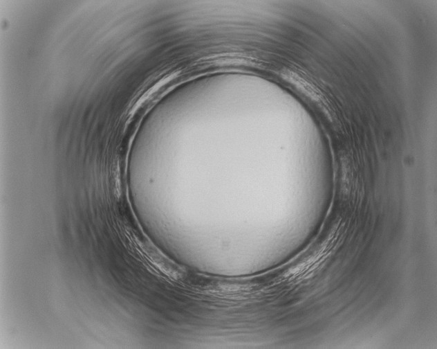 X0000058130782200510171335